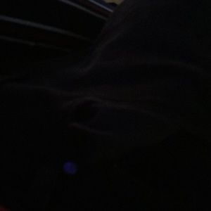 Meet your Posher, Parker